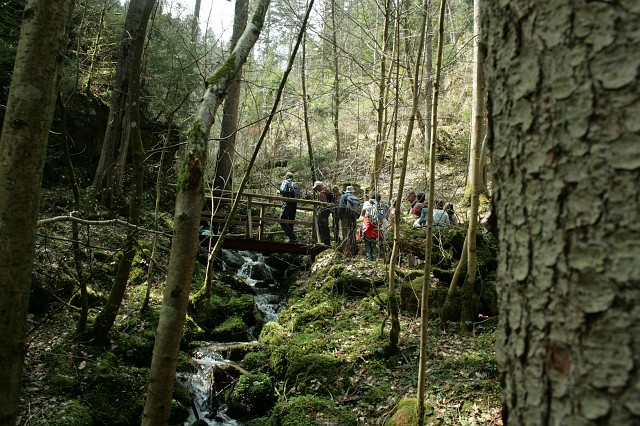 Burgenwanderung 2010 Bild 14